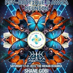 DJ Mysticism - PsyBoutique & Ayata Reunion | Jan 2015