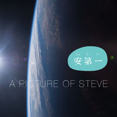 A Picture Of Steve
