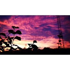 Hiding My Heart Away - Acoustic Pop