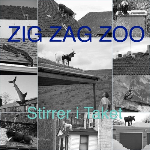 Zig Zag Zoo - Stirrer i Taket