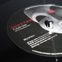Seba & Paradox - 'Future Now' - (Secret Operations 12" 021) - Jan 2015