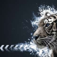 Jasiel Ortega - Tiger Signal