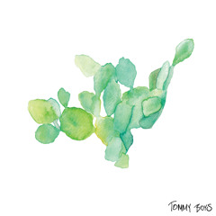 Tommy Boys - College Radio