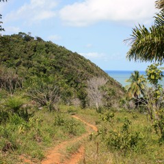 Guided Visualization For Calm And Oneness (beginner and intermediate level)