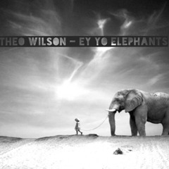 Theo Wilson - Ey Yo Elephants (MK vs Ten Walls)