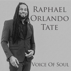 08 - Raphael Orlando Tate - Just My Imagination