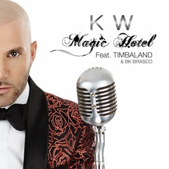Magic Hotel (feat. Timbaland & BK Brasco)