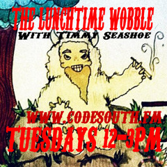 The Lunchtime Wobble On Codesouth.fm With Timmy Seashoe 20 - 01 - 2015 - Part 2