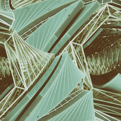 Dream State (Buu-dini x naE kaiju)