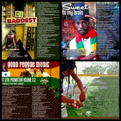 HOT GYAL PROMOTION SERIES (13 REGGAE MIXES) ALSO AVAILABLE AT DJGREENB.COM/MIXTAPES
