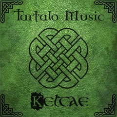 Land of the Brave (Celtic Metal) feat. DRACOVALLIS