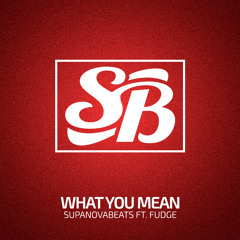 SupaNovaBeats ft. Fudge - What You Mean