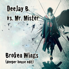 Mr. Mister - Broken Wings  (deeper House Edit)