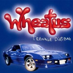Teenage Dirtbag (Wheatus Cover)
