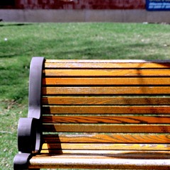 Extracurricular Park Bench Activities