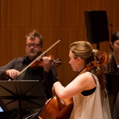 Bulb by Donnacha Dennehy performed by Typical Music Piano Trio
