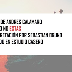 Cuando No Estas (Cover casero Andres Calamaro)