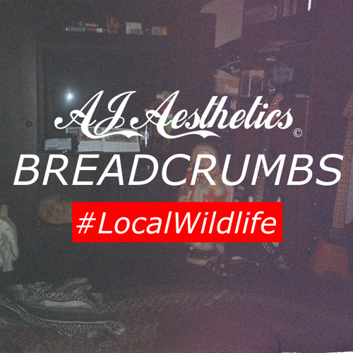 AJ Aesthetics - BREADCRUMBS prod. Fastaro