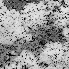 STEMS & ASHES - Extended Intro