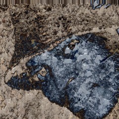 Tribute to brown dash