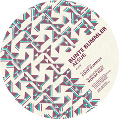 A1 Bunte Bummler - Aesub (Original Mix)