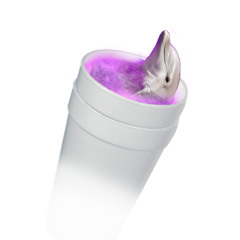 Dorufin Ft. Yung Yoshi