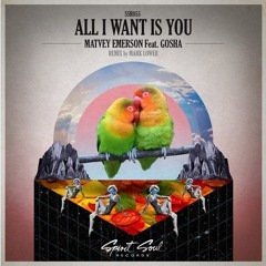 Matvey Emerson feat. Gosha - All I Want Is You (Mark Lower Night Vision Remix) OUT NOW