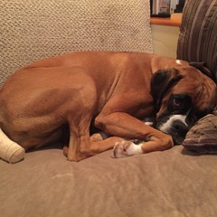 Blank Space (Taylor Swift Cover)