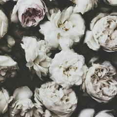 Take Me To Church (short version chorus //accapella)