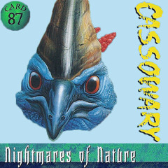 Cassowary Rock (Squawk Like A Dinosaur)