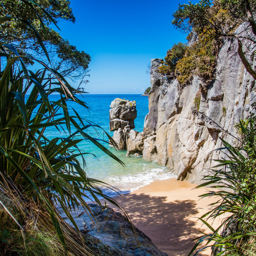 Some Chillaxing Ones