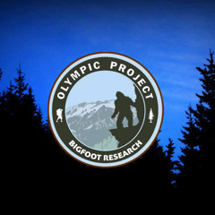 John Andrews recording of a possible Sasquatch