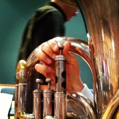 Tuba Study III