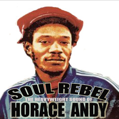 THE HEAVYWEIGHT SOUND OF HORACE ANDY