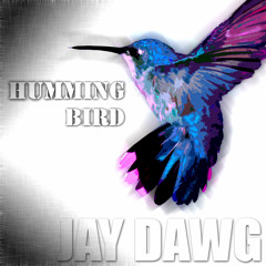 Humming Bird - JayDawg