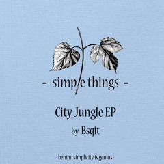 [STRD008] Bsqit - City Jungle EP