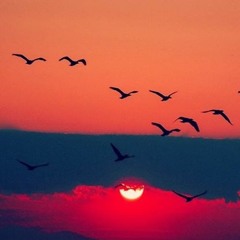 بكت عيني على ذنبي مشاري بن راشد العفاسي