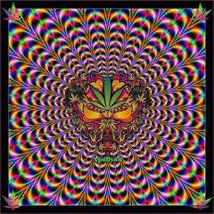 P R O G I