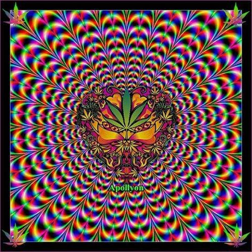P R O G I
