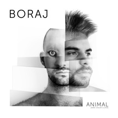 Animal (Miike Snow Cover)