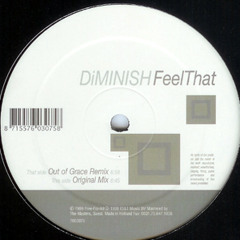 Diminish - Feel That