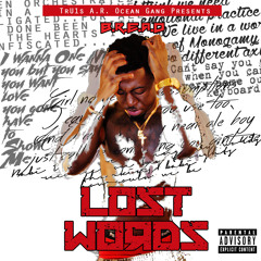 B.R.E.A.D - Lost Words - Blooming Melody (Prod. By 808&BackpackShawty)