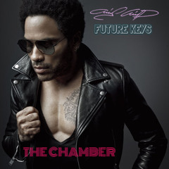 LENNY KRAVITZ-THE CHAMBER(CHRIS CHILD & FUTURE KEYS)