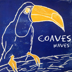 Waves