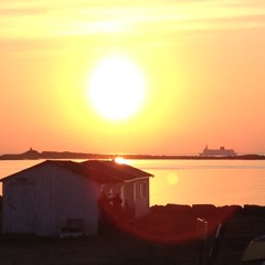 A wonderful life in a cruel world