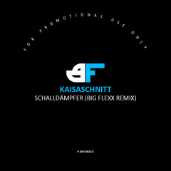Kaisa - Schalldämpfer (Big Flexx Remix) [2007]