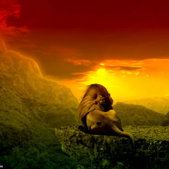 Collie Buddz - Come Around (Barely Alive Remix)