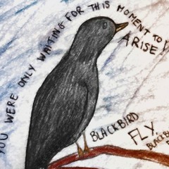 -Blackbird- The Beatles Cover