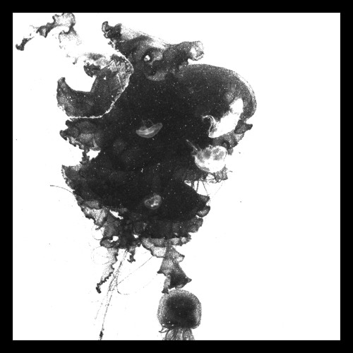 Camille Paulette-Odell - Étoiles