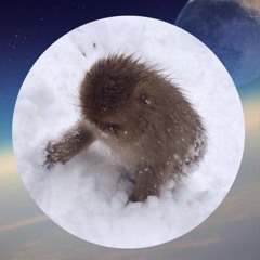 snowsaru